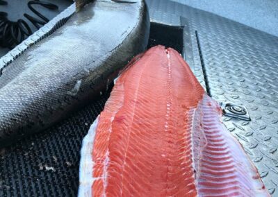Fillet king salmon